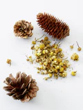 3 in 1 Chamomile + pine - Bild 4